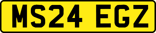 MS24EGZ
