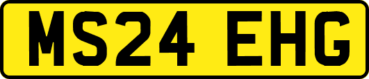 MS24EHG