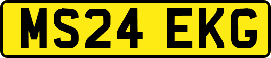 MS24EKG