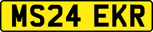 MS24EKR