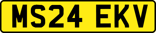 MS24EKV