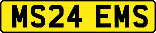 MS24EMS