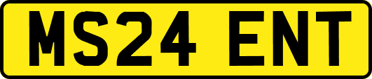MS24ENT