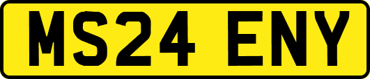 MS24ENY
