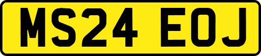 MS24EOJ