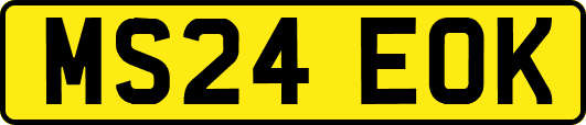 MS24EOK