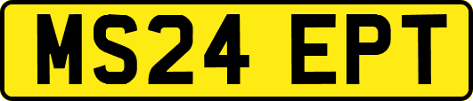 MS24EPT