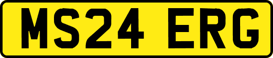 MS24ERG
