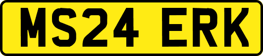 MS24ERK
