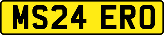 MS24ERO