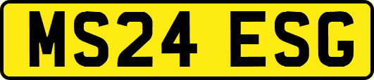 MS24ESG