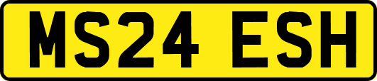 MS24ESH