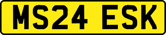 MS24ESK