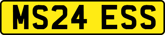 MS24ESS