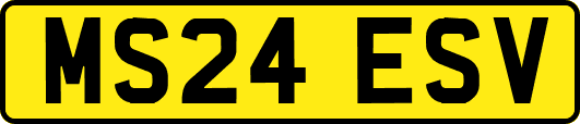MS24ESV
