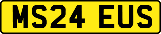 MS24EUS