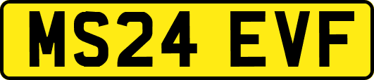 MS24EVF