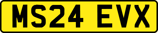 MS24EVX