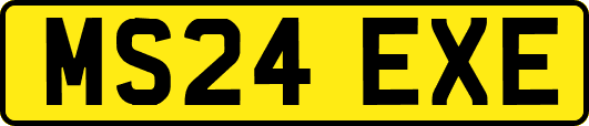 MS24EXE
