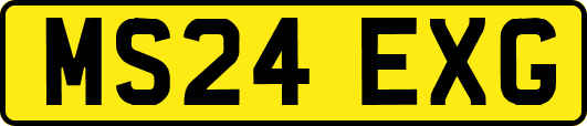 MS24EXG