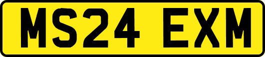 MS24EXM