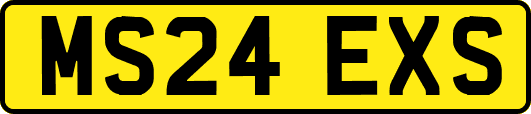 MS24EXS