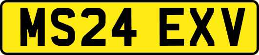 MS24EXV