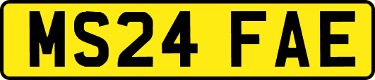 MS24FAE