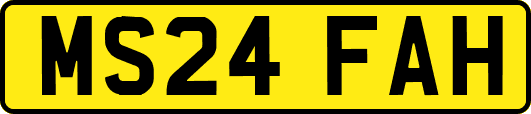 MS24FAH