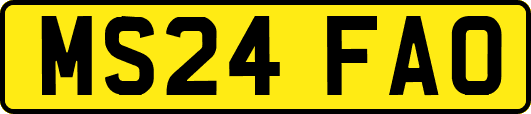 MS24FAO