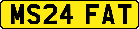 MS24FAT