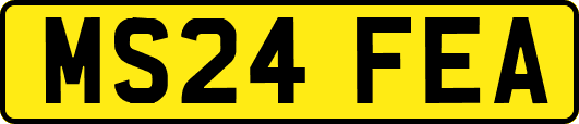 MS24FEA