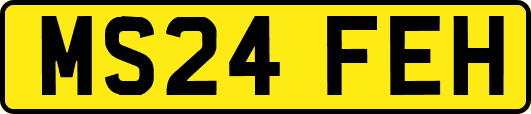 MS24FEH