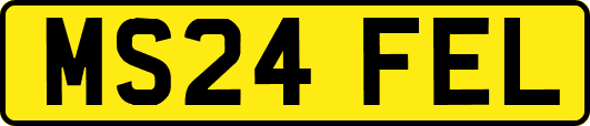 MS24FEL