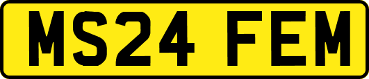 MS24FEM