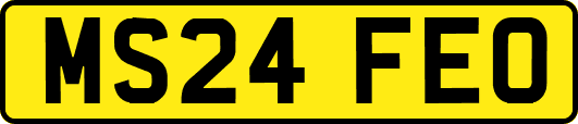 MS24FEO