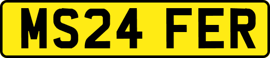MS24FER
