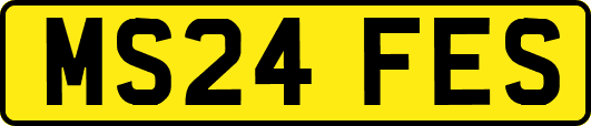 MS24FES