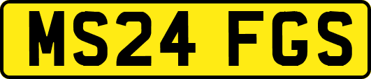 MS24FGS