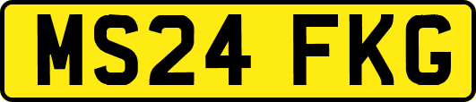 MS24FKG