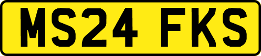 MS24FKS