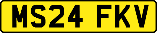 MS24FKV