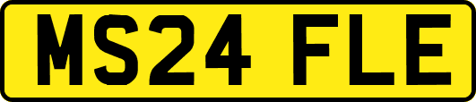 MS24FLE