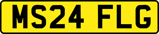 MS24FLG