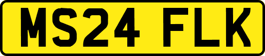 MS24FLK