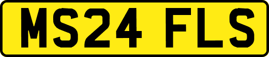 MS24FLS