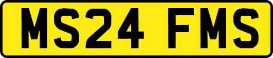 MS24FMS