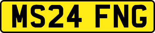 MS24FNG