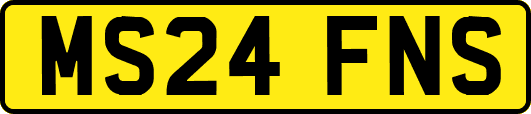 MS24FNS