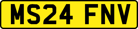 MS24FNV